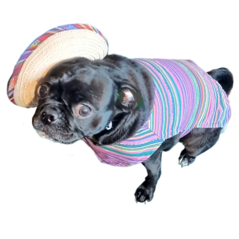 Dog or Large Cat ~Costume 2 piece Outfit
**Perfect Condition** - Picture 6 of 7